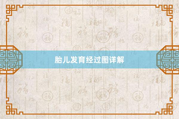 胎儿发育经过图详解