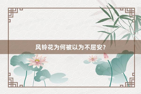 风铃花为何被以为不屈安？