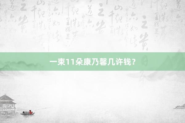 一束11朵康乃馨几许钱？