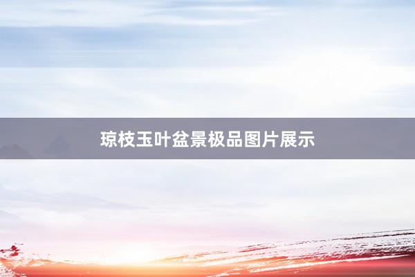 琼枝玉叶盆景极品图片展示